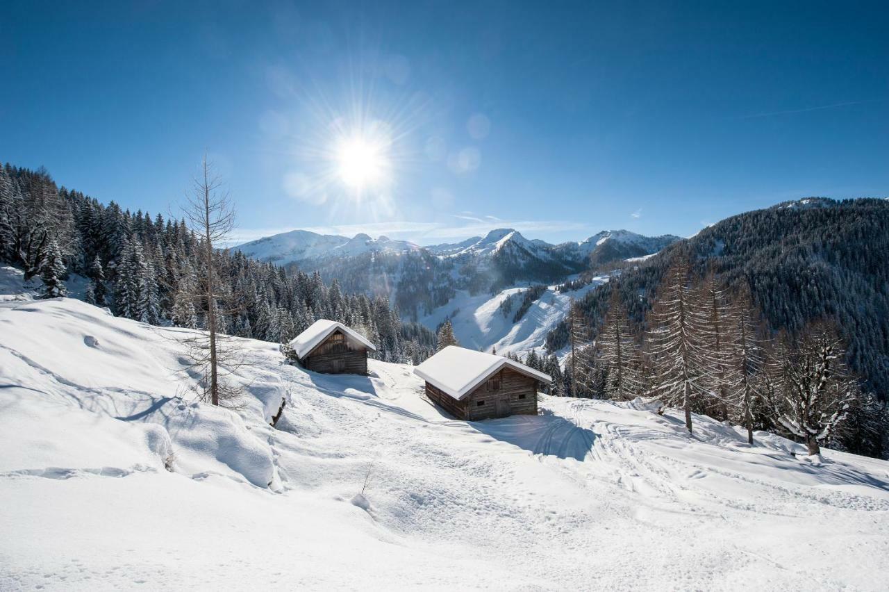 Appartamento Lochgrubgut Altenmarkt im Pongau Esterno foto